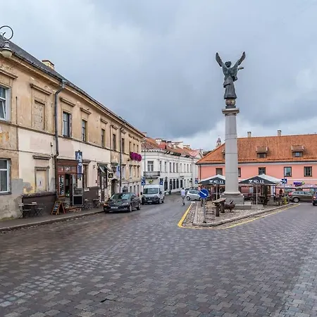 Domillion 1bdr Brand-new Uzupis W Free Parking Апартаменты *