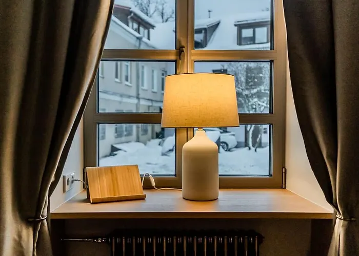 Domillion 1bdr Brand-new Uzupis W Free Parking Apartament *